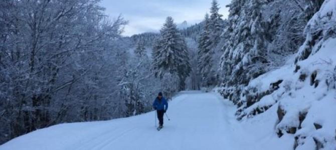 Premières traces de l'hiver !